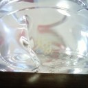 水槽リセット２