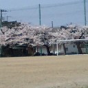昨日は結局バトンで力尽きてしまいました