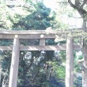 ちょっと勃った
