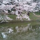 本日は曇り。