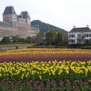 新婚旅行そのに。