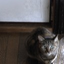 どきむね