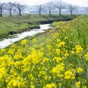 4月16日の日記