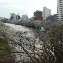 空振り気味のお出かけ