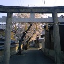 久々のおはようございます