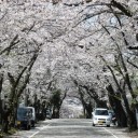 しばらく雨が続いたが・・