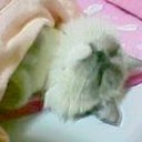 １本の糸がそよぐ・・・