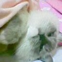 １本の糸がそよぐ・・・
