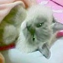 １本の糸がそよぐ・・・