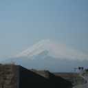 リアルダルメル