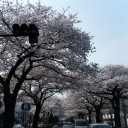 FinePix Z250fd