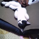 仕事は順調です。