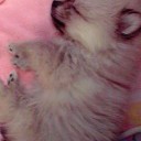 こんなはずでは