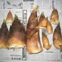 見えないものを信じる力　“ぐだんぐだんででろんでろんでぐんにゃり”　の巻