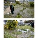 厚顔無恥なのか・・・