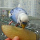 色鉛筆