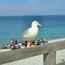 健全なリゾート地