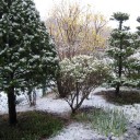 吹雪です