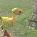 【FF11】久しぶりにチョコボ育成してみた！