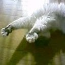 モミモミして～・・・