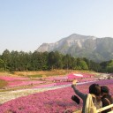 BBQと芝桜