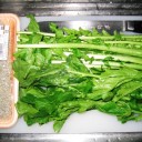 貧乏人は毎日鶏肉を食え！　“閣下、愛されまくり祭り開催中”　の巻