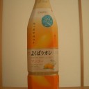 初めてのカサ模擬