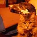 のんびり・・