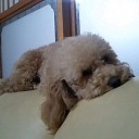 今回のあず吉