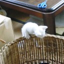 お仕事にいってきました。