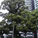 小旅行・・・？　ヾ(@ﾟ▽ﾟ@)ﾉあははぁ