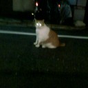 キラーン★