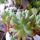 落ち着け！