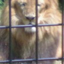 いしかわZOO