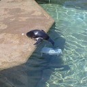 いしかわZOO