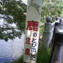 奈良っぽさ