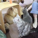 興奮した