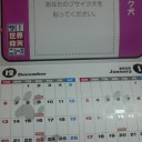 好きにしていいよ