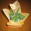 どん底畑のパピプペポ　“汚部屋住人の憂鬱”　の巻