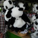 動物たち