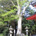 5月20日の日記