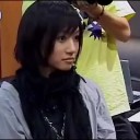 似て蝶