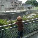 動物園