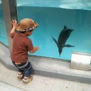 動物園