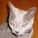 橋の欄干の上で目を瞑ってスキップ　“汚部屋より愛を込めて”　の巻