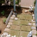 芝生