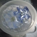 氷中花作成