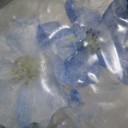 氷中花作成
