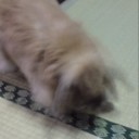 夢日記４９