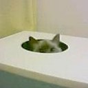 ちょっぴり今更ですが・・・